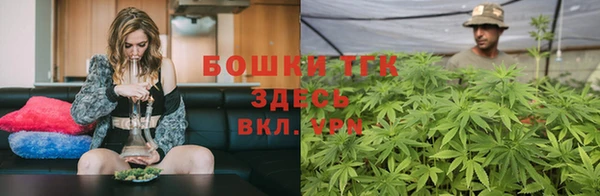 мяу мяу мука Гусь-Хрустальный