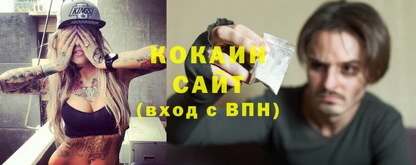 мяу мяу мука Гусь-Хрустальный