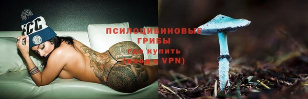 дмт Гусев