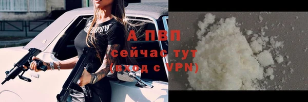дмт Гусев