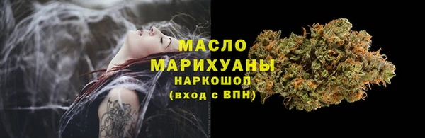 дмт Гусев
