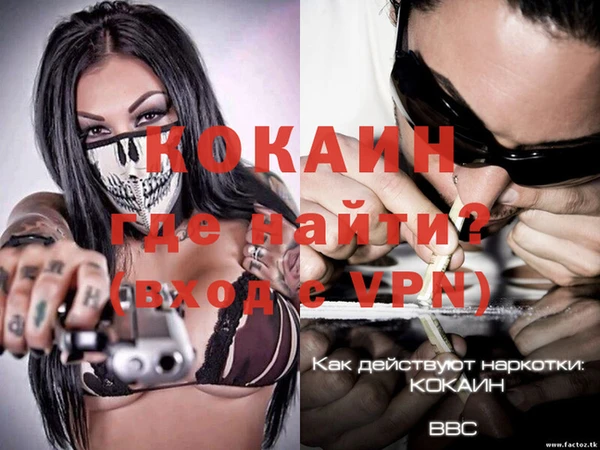 мяу мяу мука Гусь-Хрустальный