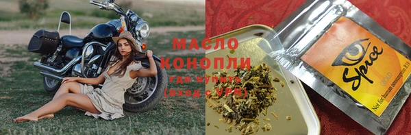 дмт Гусев