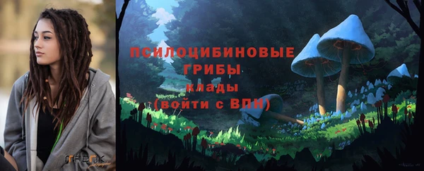 мяу мяу мука Гусь-Хрустальный