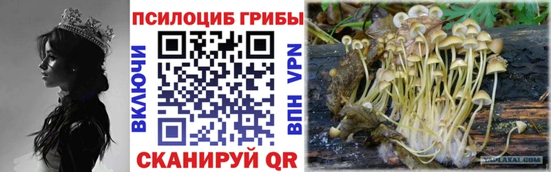 Галлюциногенные грибы мицелий  Павловск 